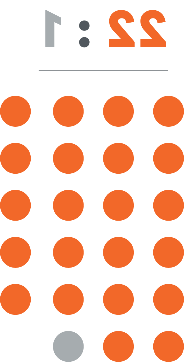 22:1有22个橙色点和1个灰色点